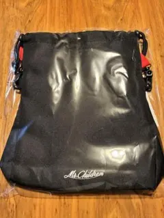 Item thumbnail for item 2b3a5eaf-3931-42f2-bd81-654d6b37d522