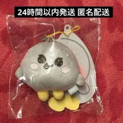 2026年最新】ソンヨンドリの人気アイテム - メルカリ