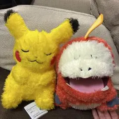 ピカチュウとホゲータ　ぬいぐるみ　セット