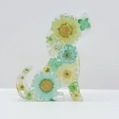 【訳あり】固まるハーバリウム ねこの中のお花畑 SALE】固まるハーバリウム ねこの中のお花畑 - メルカリ