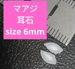 マアジ 耳石 お守りパワーストーン天然石宝石開運受験生物学 F70