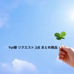 Yui様 リクエスト 2点 まとめ商品