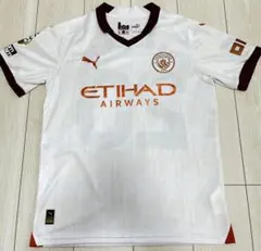 Item thumbnail for item 8c9ee5e6-a9f8-4666-a807-5df9e59f2ced