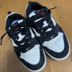 ナイキSB アリウープ GS NIKE キッズスニーカー 23cm
