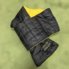 Item thumbnail for item 443a5c62-d203-4f1d-ade5-a5fcc7f3c828