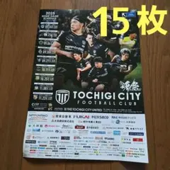 栃木シティ チラシ ５枚 フライヤー スケジュール 選手紹介