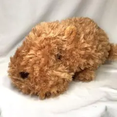 Item thumbnail for item 0acffd73-9c8d-4e33-8e98-4bca785e93f4