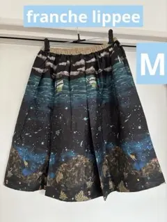 【16日まで限定価格】フランシュリッペ　フレアスカート　夜　パイレーツ　Mのサムネイル