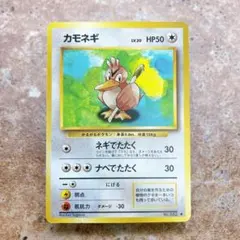 m58554570595_1.jpg?1772284051