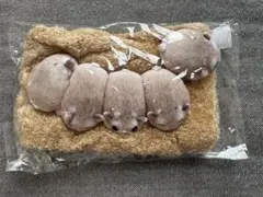 【タイムセール】ハムスター型ティッシュボックスカバー