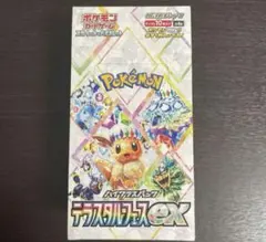 2025年最新】テラスタルフェス シュリンク付きの人気アイテム