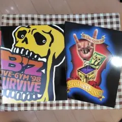 2025年最新】b z ツアーパンフの人気アイテム - メルカリ