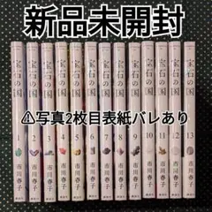 2026年最新】宝石の国 13巻 特装版の人気アイテム - メルカリ
