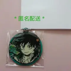 僕のヒーローアカデミア ヒロアカ アクリルスライドミラー 緑谷