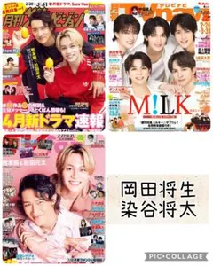 TV誌3誌　岡田将生　染谷将太　切り抜き