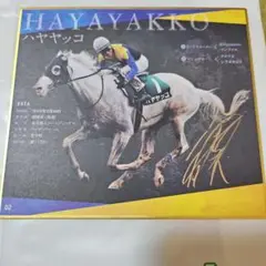 白毛馬一族　色紙コレクション ハヤヤッコ