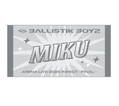 BALLISTIK BOYZ 深堀未来 カプセル ネームミニタオル ②