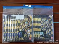 Item thumbnail for item 65709397-644e-4e12-b2f7-8da1ef8e3df1