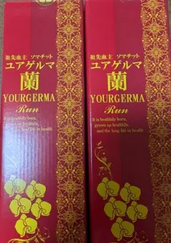 金桜 (Gold Sakura) JCエッセンス 美容液 30ml×2本 98番 - メルカリ