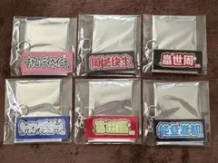 阪神タイガース シークレット キーホルダー