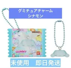【未使用/シナモン】サンリオグミチュアチャームGUMMY＆ミニポーチ
