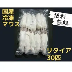 送料無料 冷凍マウスリタイア30匹 - メルカリ