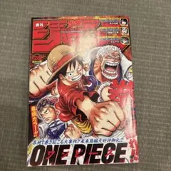 週刊少年ジャンプ 2004年43号 ワンピース表紙 - メルカリ
