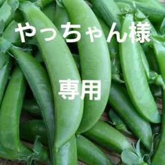 やっちゃん様専用ページです❣️