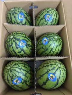 産地直送！小玉スイカウリ坊6玉入！甘くて美味しい！箱込10キロ前後のサムネイル