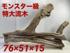 W94特大流木 アク抜き済み流木 爬虫類シェルター 登り木 インテリア