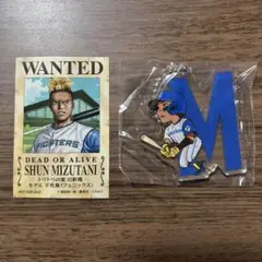ファイターズビンゴ イニシャルアクリルキーホルダー水谷瞬