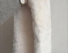 Item thumbnail for item cb85b218-9367-4237-bacd-de6154ab6a3a