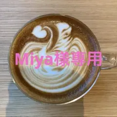 Miya様専用ページ★