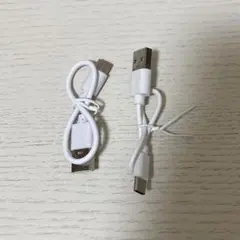 Type-C USB 充電ケーブル 2個
