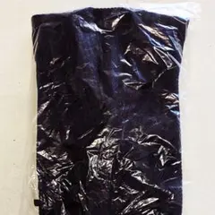 Item thumbnail for item b085e4aa-e4fc-40b5-9b45-d38f0424a114