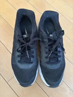 Nike Air Max ブラック スニーカー