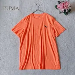 オレンジ Tシャツ