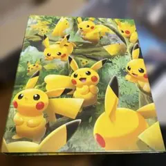 ポケカ】4ポケット コレクションファイル 夏とポケモンたち（GGG