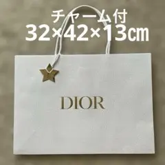 DIOR ディオール ショップ袋 スターチャーム付きのサムネイル