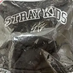 スキズ straykids アプグレ グッズ 特典 エコパ スタジアム 未開封