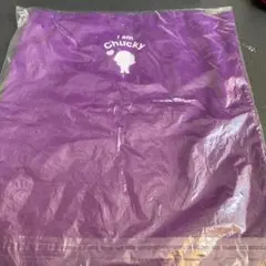 チャッキー バッグ 紫色 未使用