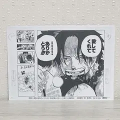 ONE PIECE BASE SHOP ALL PAGES 頂上戦争 エース - メルカリ