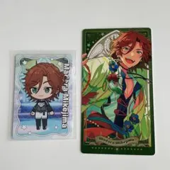 2026年最新】三毛縞斑の人気アイテム - メルカリ