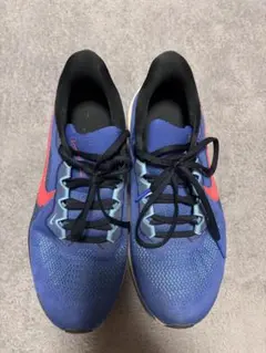 NIKE エアズームペガサス41 ランニングシューズ　25.0