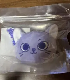 BOYNEXTDOOR プネクド フェイスキーリング ソンホ CATBBI