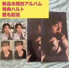 【匿名配送】treasure pleasure mu-mo ygex ハルト