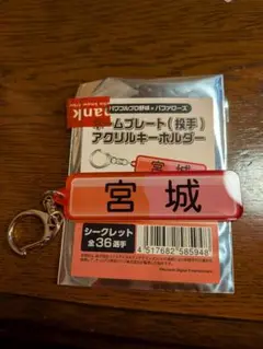 オリックスバファローズ　宮城大弥　ネームプレート　アクリルキーホルダー　パワプロ