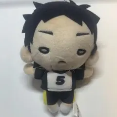 2025年最新】赤葦 にとたん ぬいぐるみの人気アイテム - メルカリ