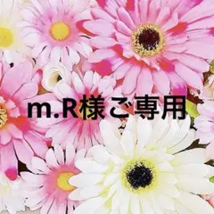 m.R様ご専用