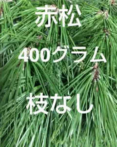 2026年最新】松葉の葉の人気アイテム - メルカリ